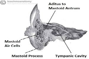 Gambar Aditus Ad Antrum