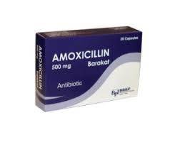 Gambar Amoxicillin