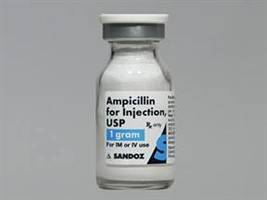 Gambar Ampicillin