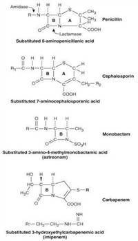 Gambar Beta Laktam
