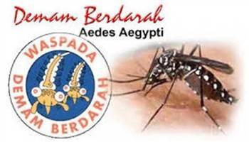 Gambar Demam Berdarah Dengue Derajat II