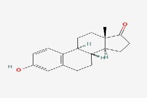 Gambar Estrone