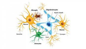 Gambar Glia