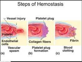 Gambar Hemostasis