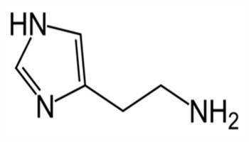 Gambar Histamin