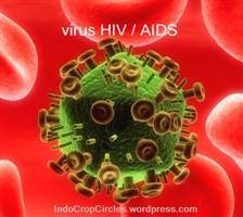 Gambar HIV