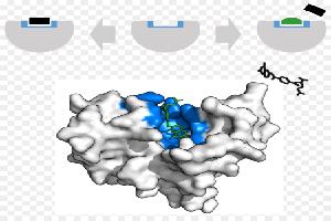 Gambar Inhibitor