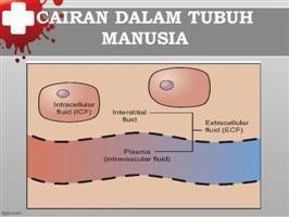 Gambar Intravaskuler