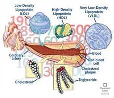 Gambar Kolesterol Total