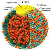 Gambar LDL