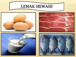 Gambar Lemak Hewani