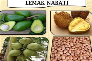 Gambar Lemak Nabati