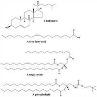 Gambar Lipid