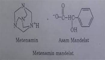 Gambar Metenamin Mandelat