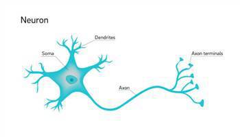 Gambar Neuron