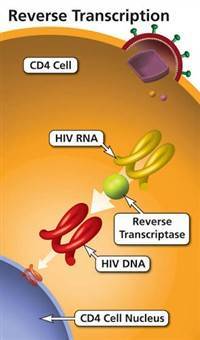 Gambar Non Nucleside Reserve Trancriptase Inhibitor