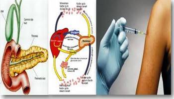 Gambar Obat Endokrin