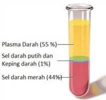 Gambar Plasma Darah