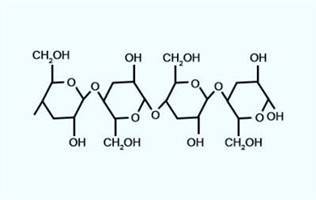 Gambar Polisakarida