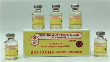 Gambar Serum Anti Bisa Ular