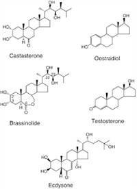 Gambar Steroid