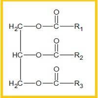 Gambar Trigliserida