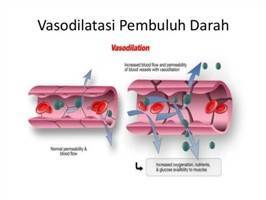 Gambar Vasodilatasi