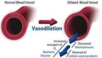 Gambar Vasodilator