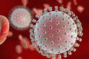 Gambar Virus Zika