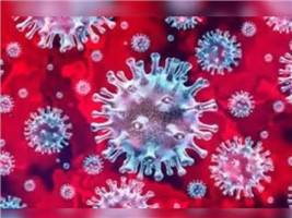 Gambar Virus